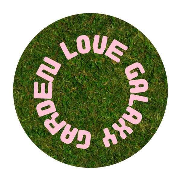 Love Galaxy Garden logo
