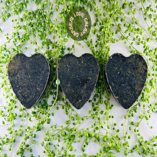 Moringa Oleifera (Soaps)
