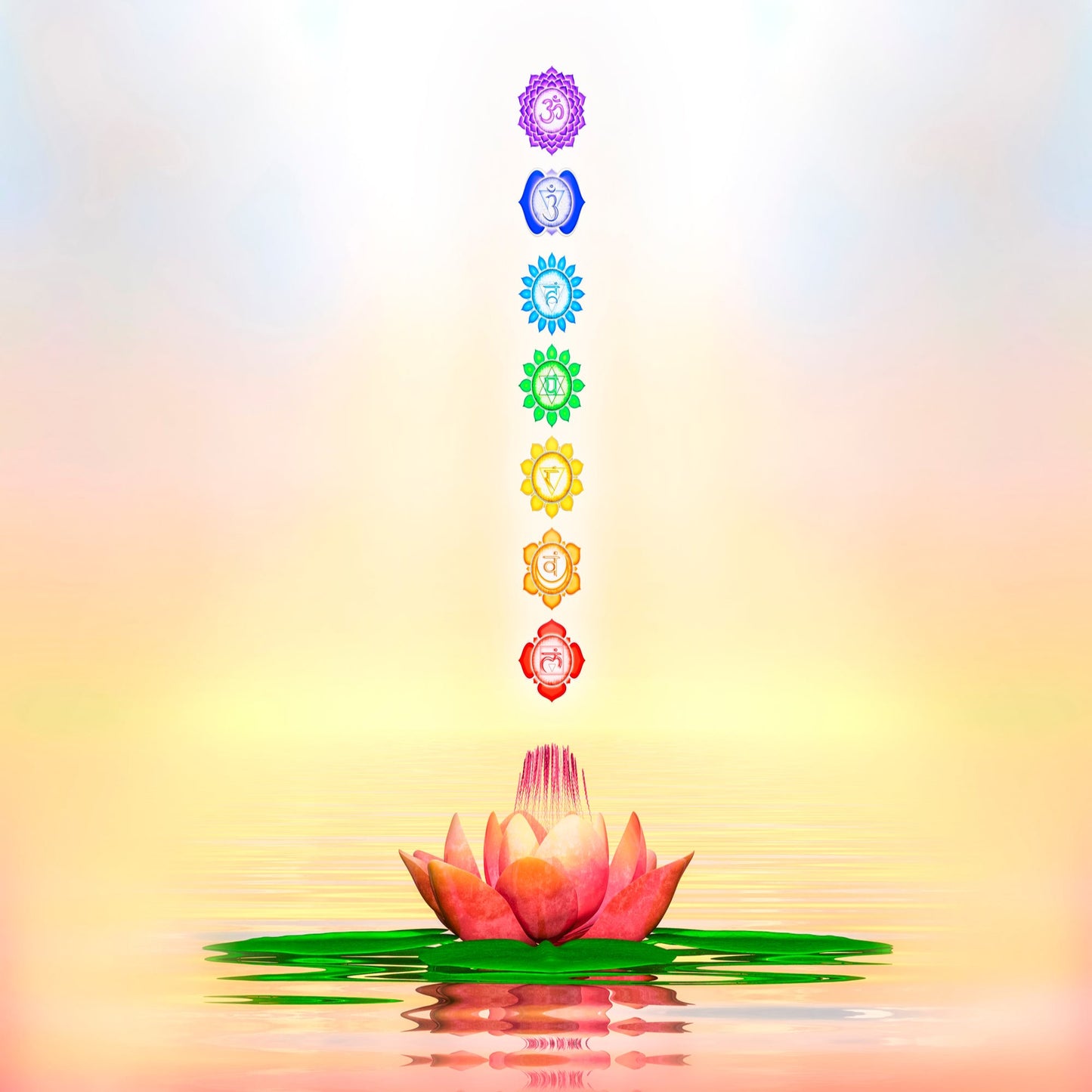 Chakra Reading